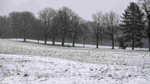 Schneegestöber im Franzschen Feld