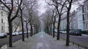 Jasperallee