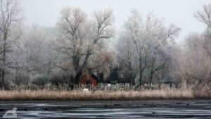 Fischgut am Mittelteich (Riddagshäuser Teiche)